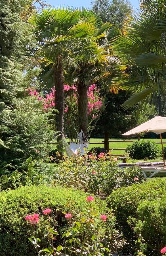 Bed & Breakfast ,Casa De Campo San Esteban,Linares Miraflores Exterior foto